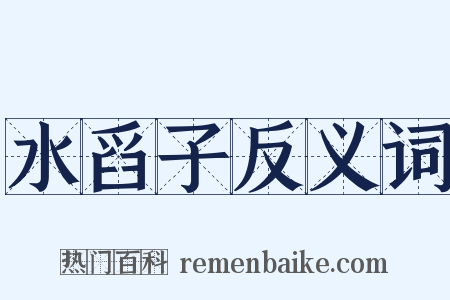 水舀子反义词是什么意思的图片